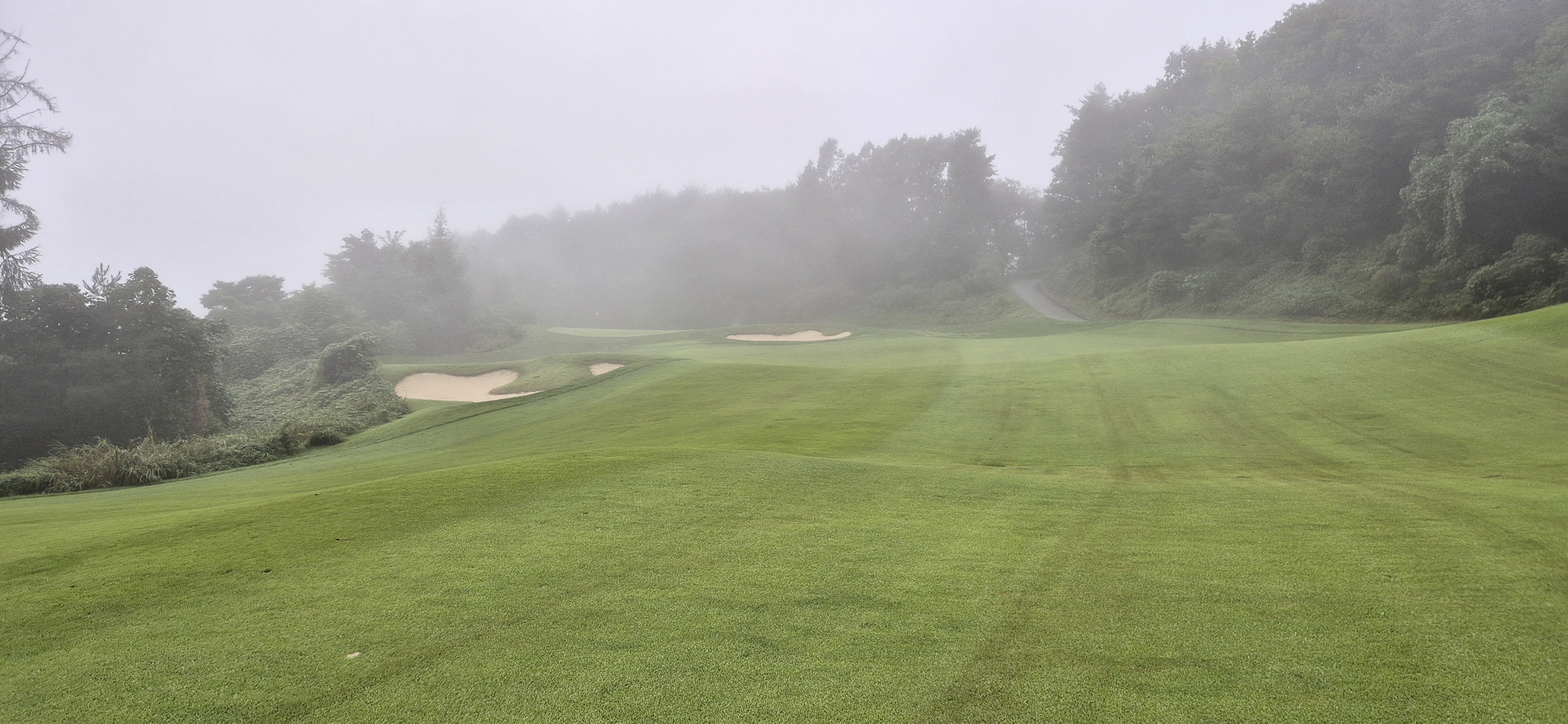 더플레이어스cc