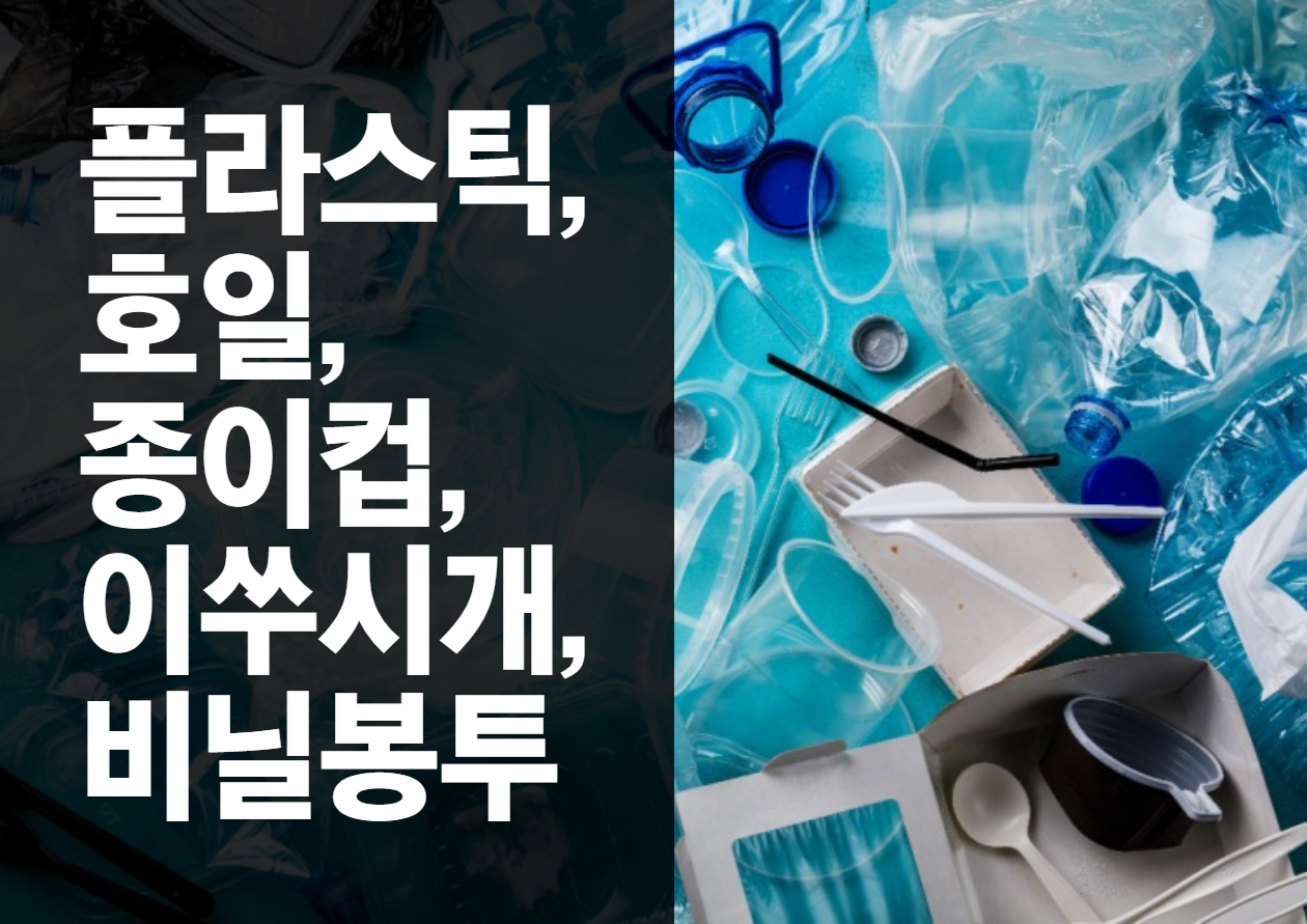 ์นดํ ์๋น ์ผํ์ฉํ ์ ํ