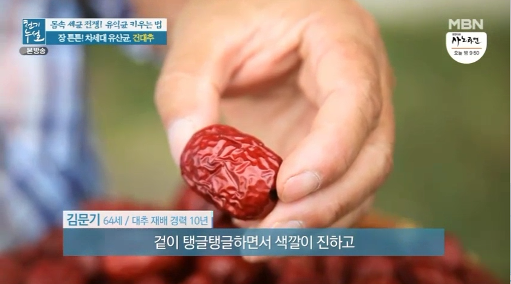 대추 사과대추 효능 대추차 생대추 건대추 고르는법 칼로리 보관법