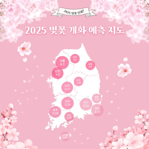 🌸 25년 국내 벚꽃 명소 총정리 (+ 추천 여행 코스 &amp; 맛집), 꿀팁, 추천, 여행 정보, 개화 시기, 여행 코스
