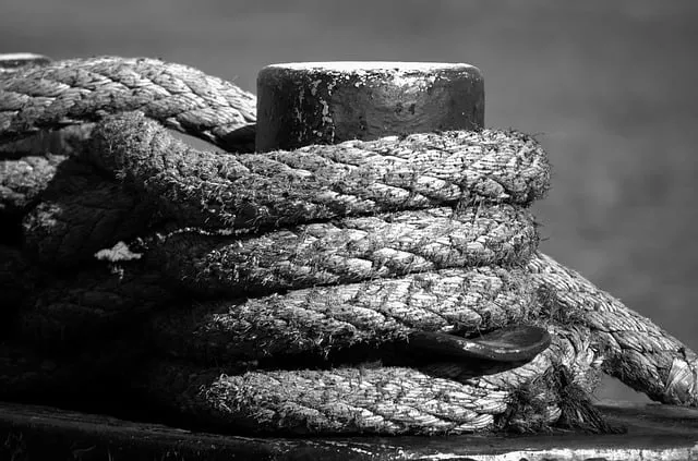 울산조선해양축제 2025 여름 바다축제 프로그램 소개_2