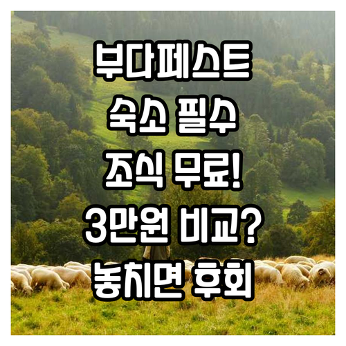 부다페스트 숙소 조식 무료 호텔부터 ..