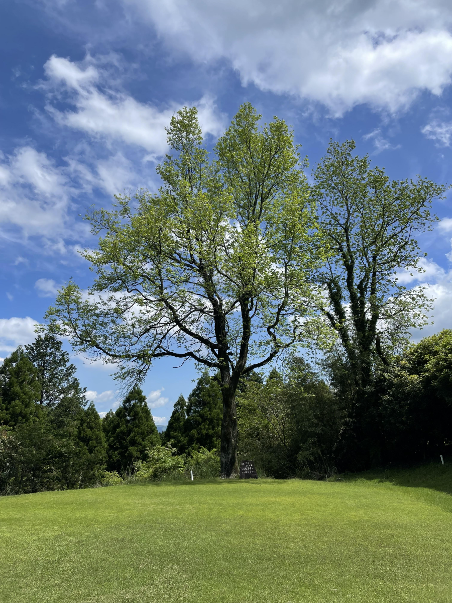아츠마루 아소 아카미즈 골프장 후반전