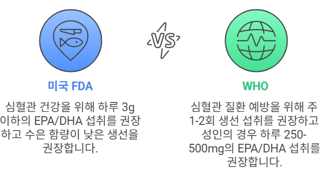 미국FDA, WHO 등에서 권하는 오메가 지방산