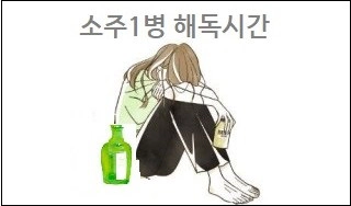 소주1병 해독시간