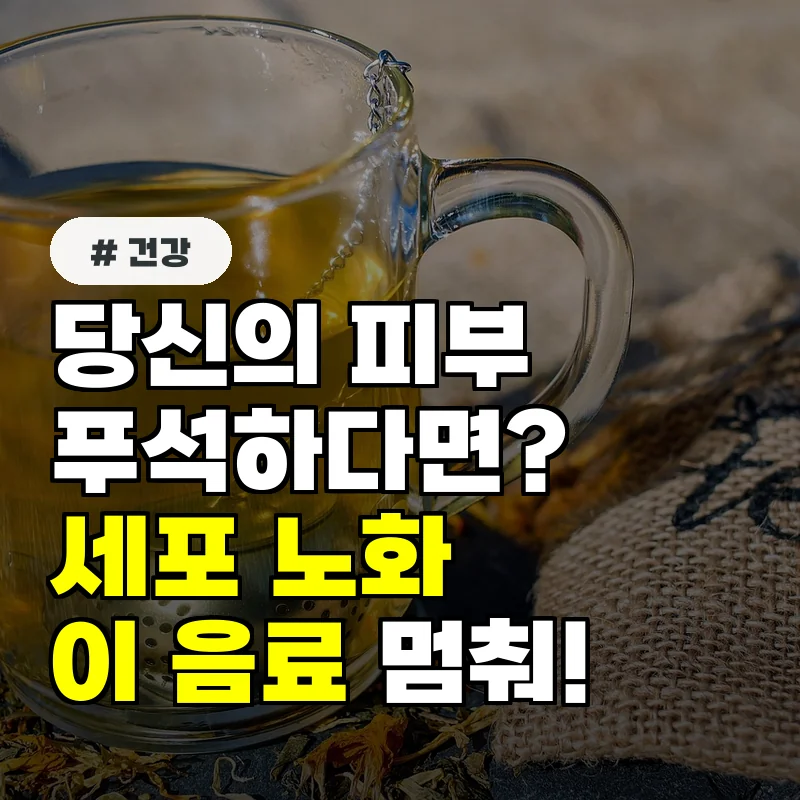 당신의 피부가 푸석하다면 세포 노화 가속시키는 이 음료 멈춰!