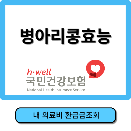 병아리콩효능, 병아리콩 먹는방법
