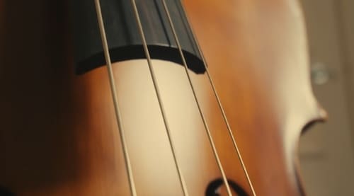 Upright의 어원과 기본 개념