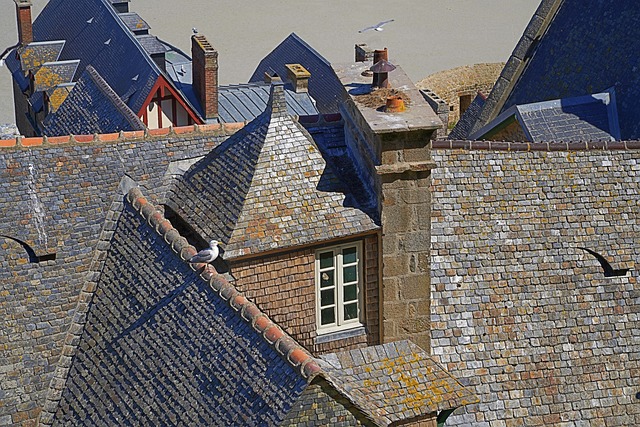 미셸 푸코 - 권력과 지식, 감시사회