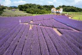 8월 제주도 가볼만한곳10곳