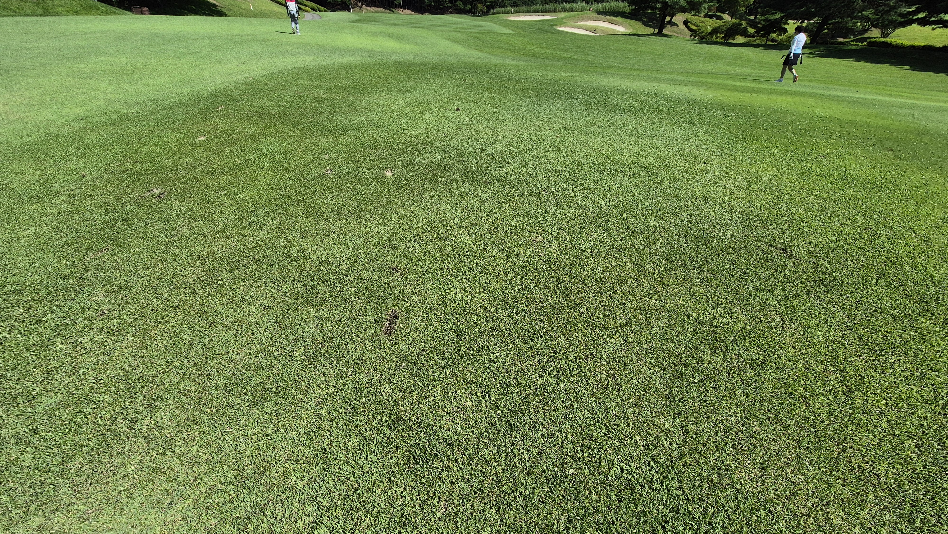 골프존카운티 화랑 라운드 후기