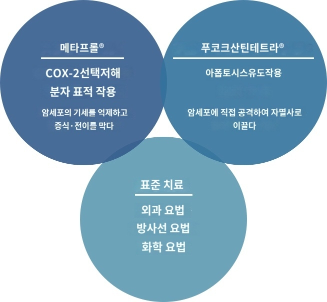 암 치료