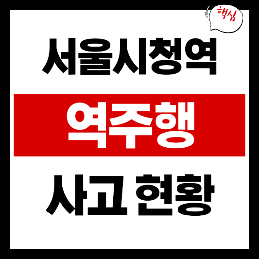 서울시청역 역주행 사고 현황