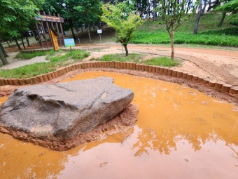 자연 속 힐링! 안동 천년숲 황토길 맨발걷기 체험 후기 관련 사진