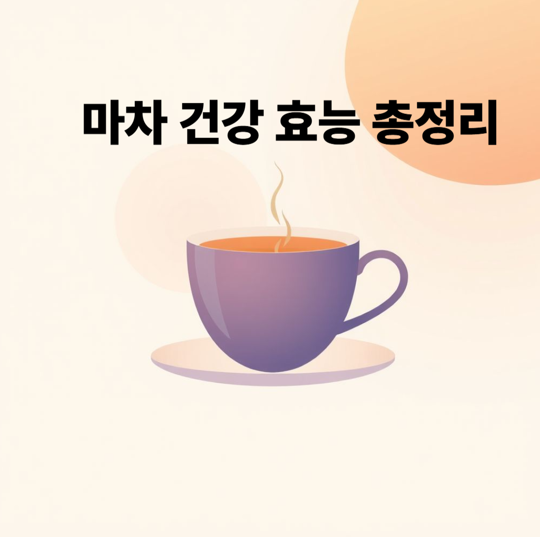 마차 효능 총정리