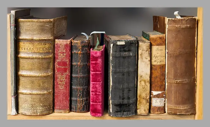 한강 채식주의자