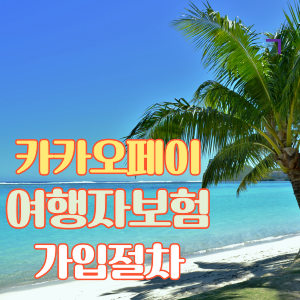 카카오페이 여행자보험