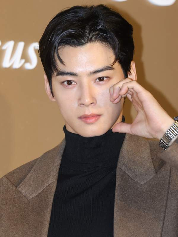 차은우 조세심판 청구 이유: 국세청 130억 세금 완납, 연예인 1인 기획사 실질과세 쟁점 정밀 분석