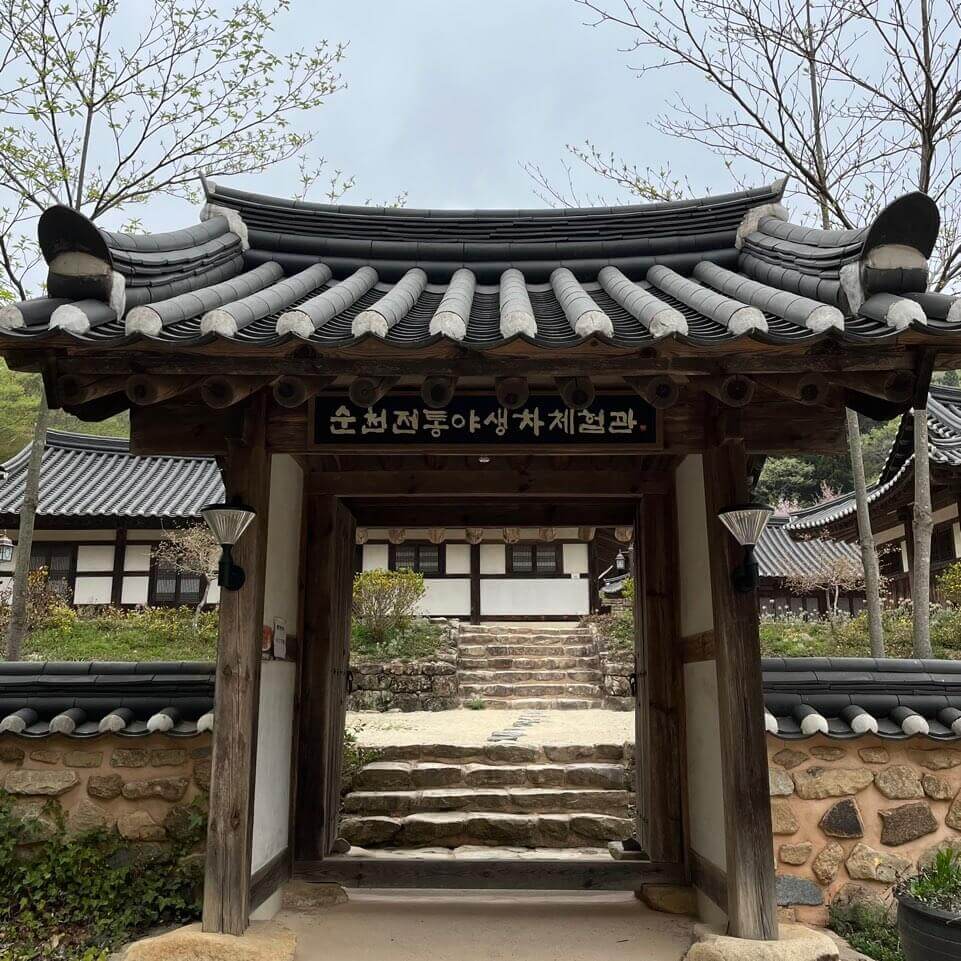 순천 야생차체험관