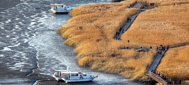 순천 가볼만한 곳 베스트10