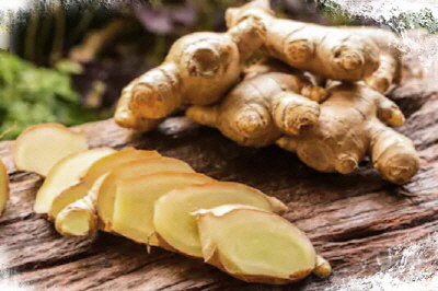 생강 효능