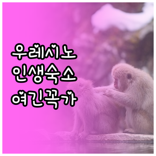일본 우레시노 온천 여행 토도로키 폭..