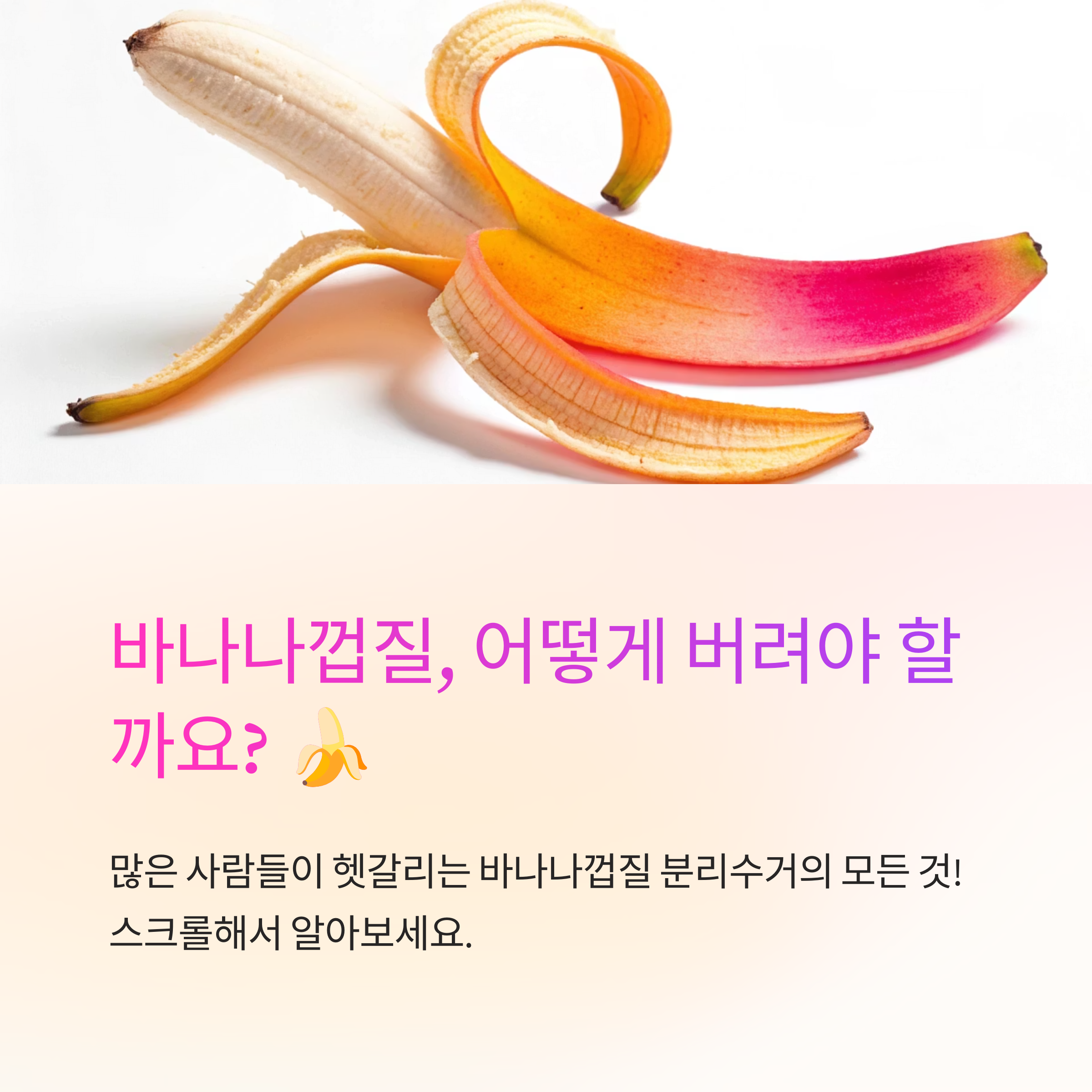 바나나껍질 분리수거 방법과 실전 팁