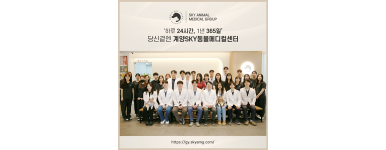 인천 계양구 근처 동물병원 추천 정보 | 24시간 잘하는곳 고양이 강아지 중성화 수술 애견 가격 비용 금액 후기 -
계양SKY동물메디컬센터
인천 계양구 동물병원
