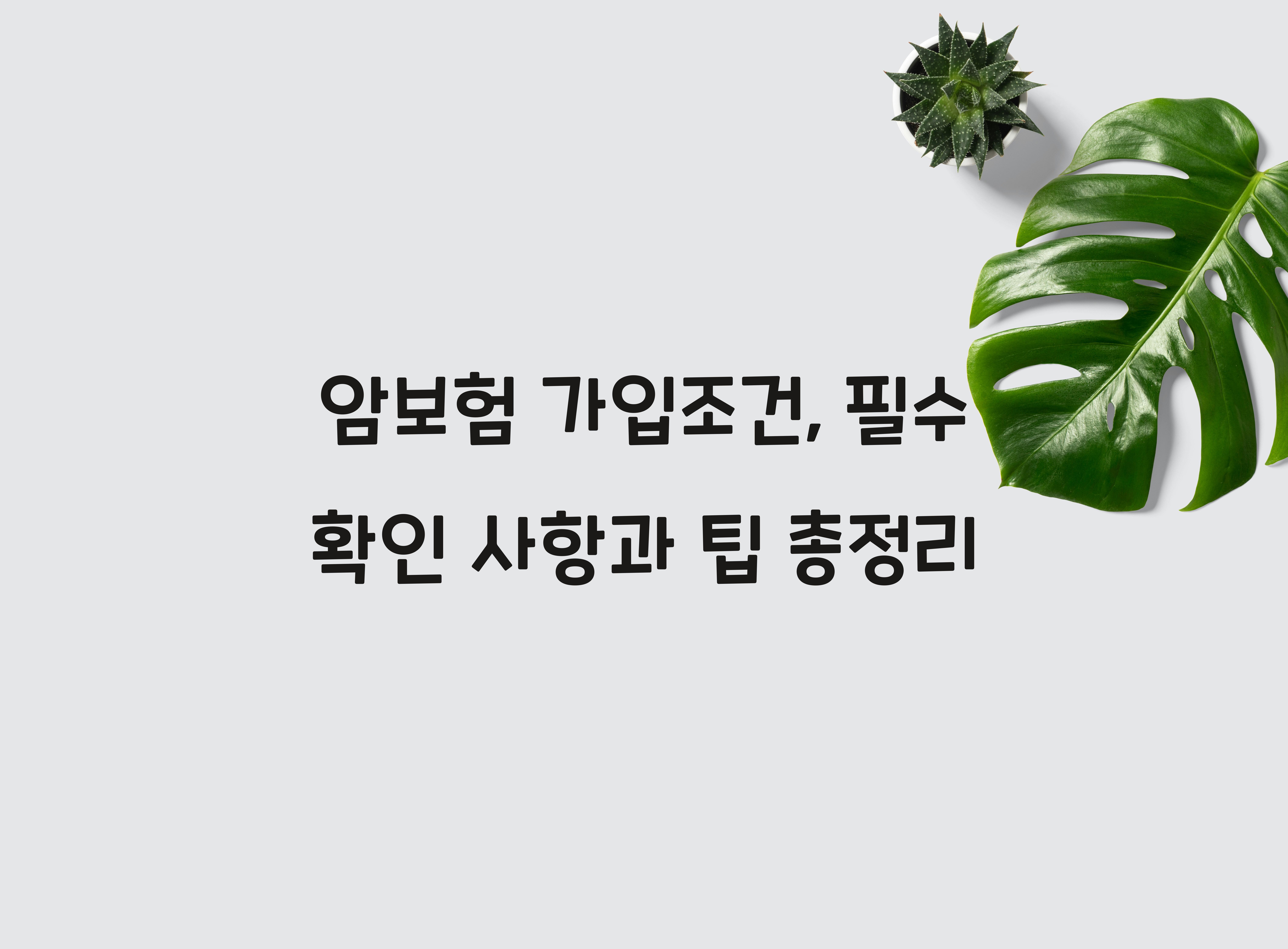 암보험 가입조건