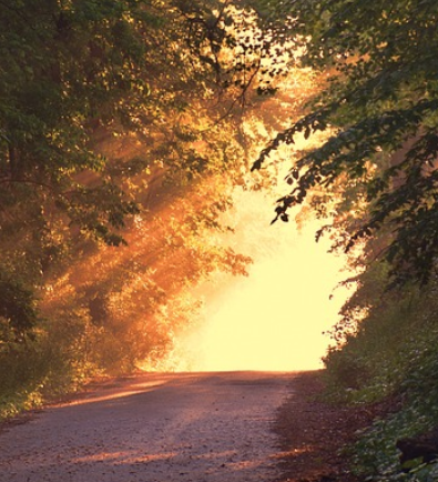 경제적 자유를 이루는 현실적인 방법 관련 사진