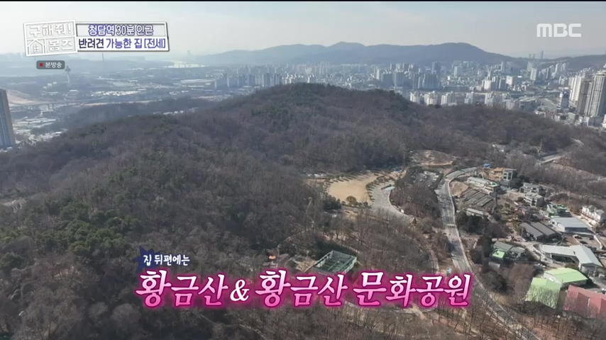 구해줘홈즈 1층집 바이브 동물병원 인접 남양주 다산동 전세 매매 매물 가격 및 구조 인테리어 리모델링 최종선택 강재준 양세찬 소개