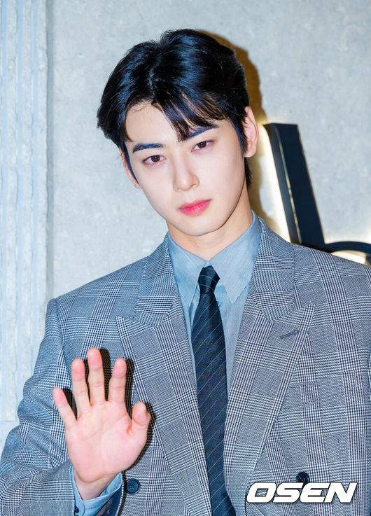 차은우 조세심판 청구 이유: 국세청 130억 세금 완납, 연예인 1인 기획사 실질과세 쟁점 정밀 분석