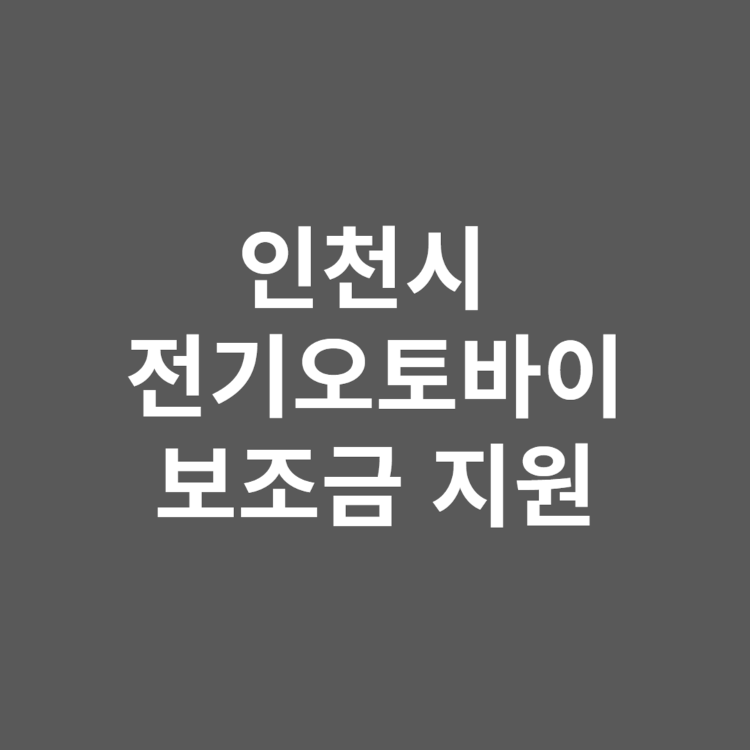 인천시 전기 오토바이