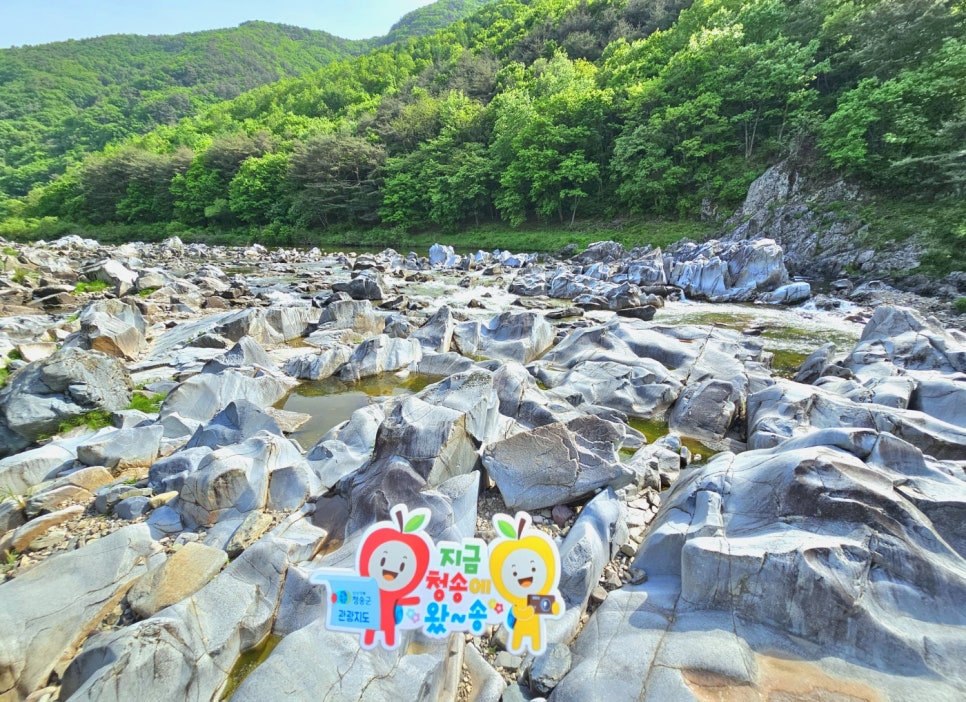 백석탄포트홀