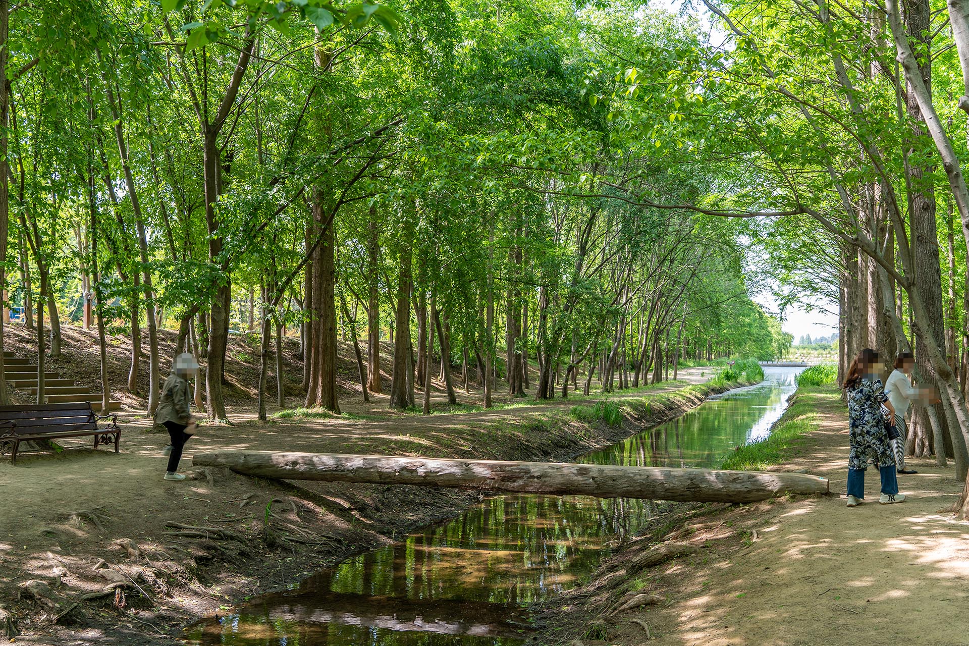왼쪽 외나무다리