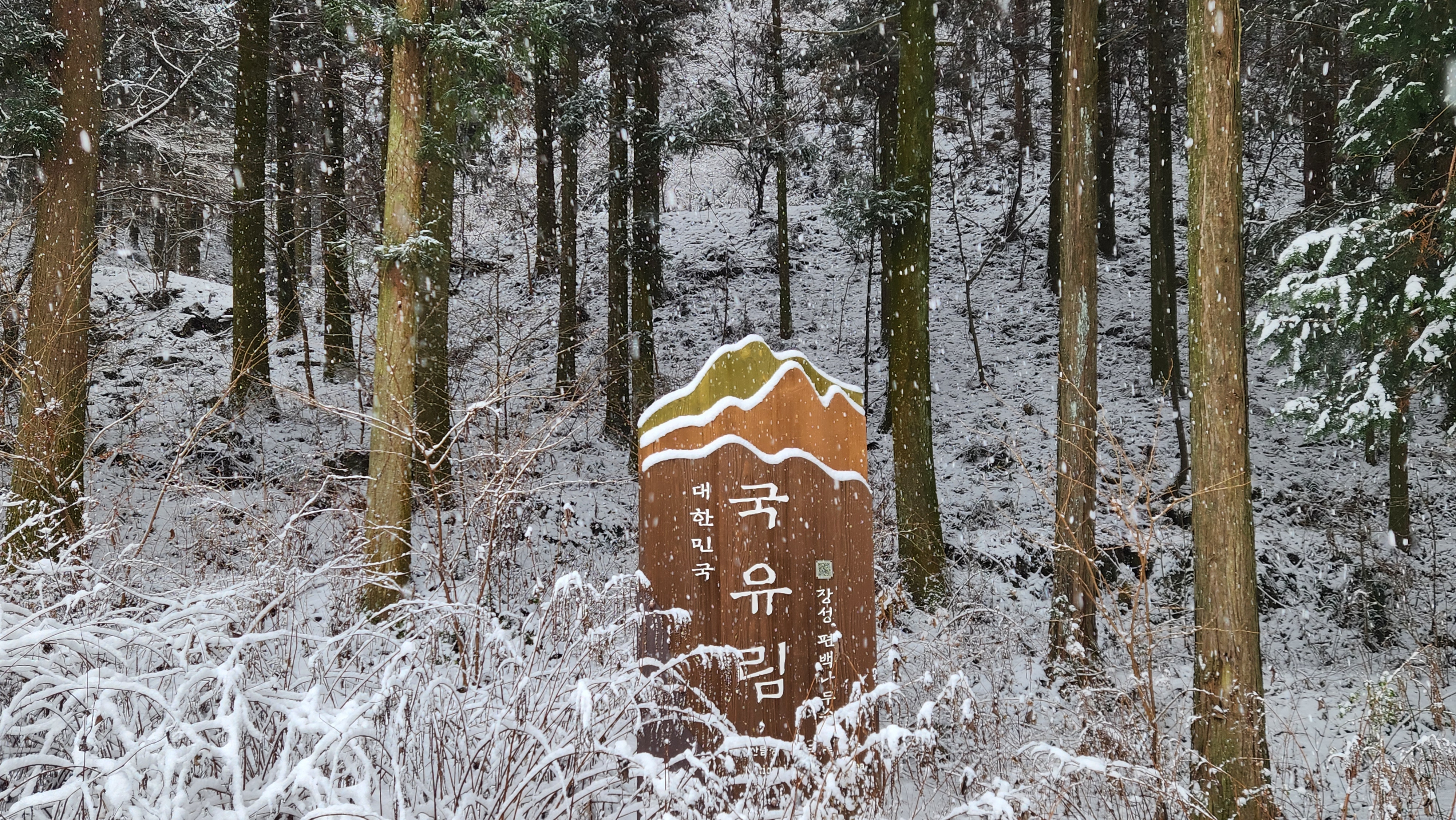 장성 치유의숲 대한민국 국유림 간판