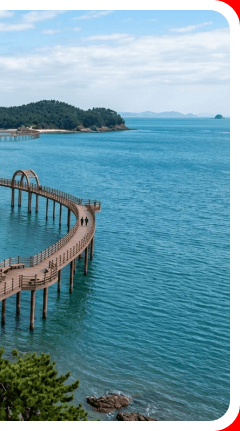 신안 자은도 무한의 다리