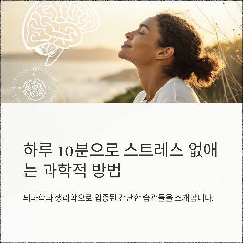 하루 10분, 스트레스를 과학적으로 없애는 5가지 습관