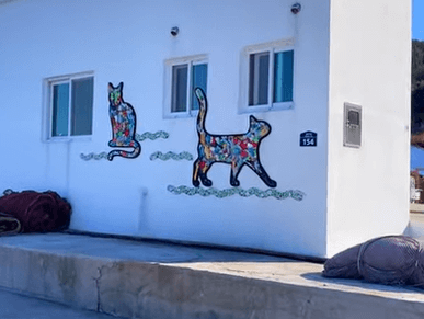 통영 고양이 학교