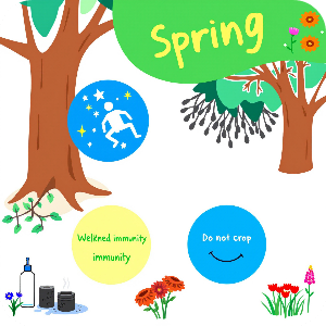 봄철 피부관리 예민 이유중 면역력 저하로 인한 손상 이미지