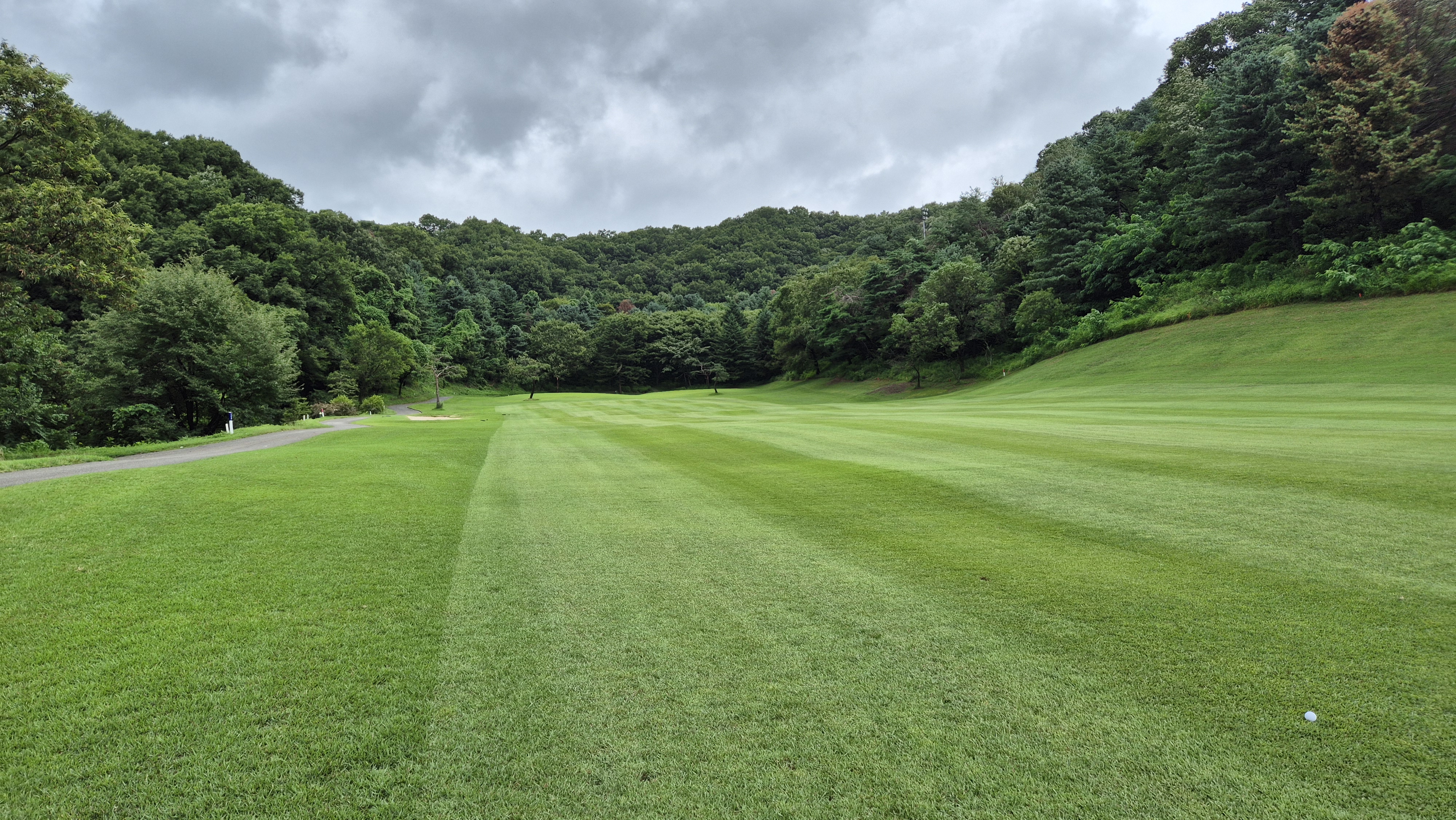 뉴서울cc 예술in-문화in 코스 사진 및 공략 정보