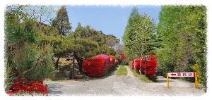 달빛소리수목원