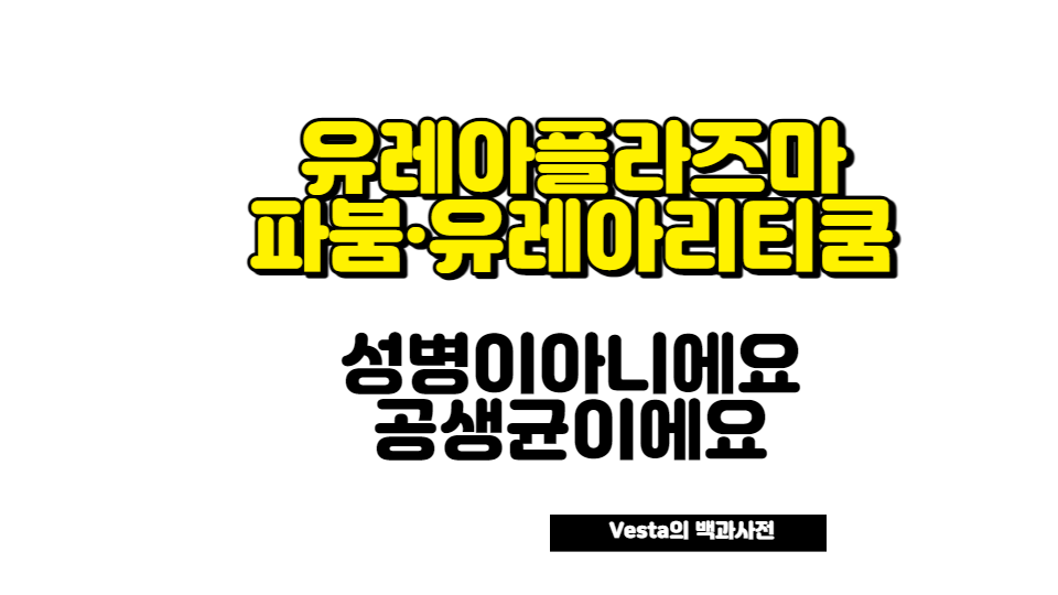 유레아플라즈마 안내