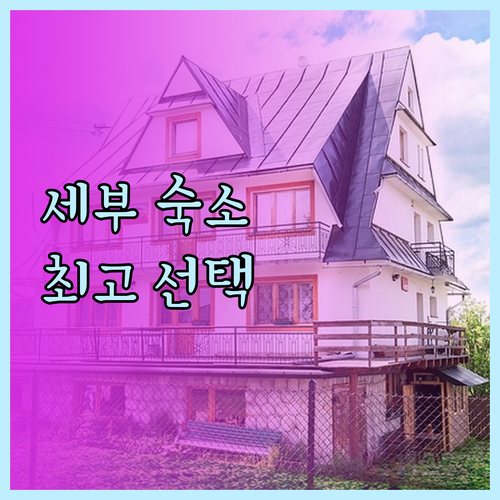 세부 숙소 고민 끝 최고의 선택은?