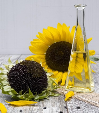 식용유 비교 추천 효능과 부작용 해바라기씨유