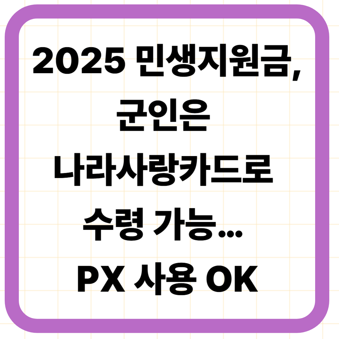 2025 민생지원금, 군인은 나라사랑카드로 수령 가능… PX 사용 OK