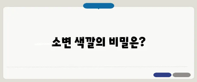 소변 색깔로 보는 건강 상태별 정리