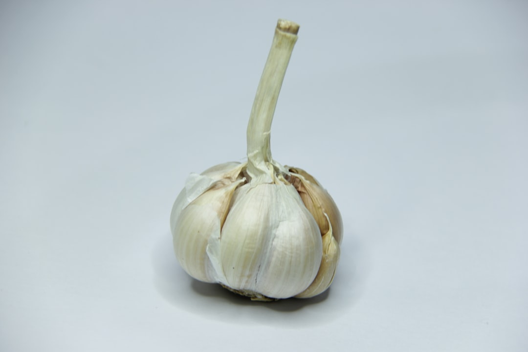 Garlic