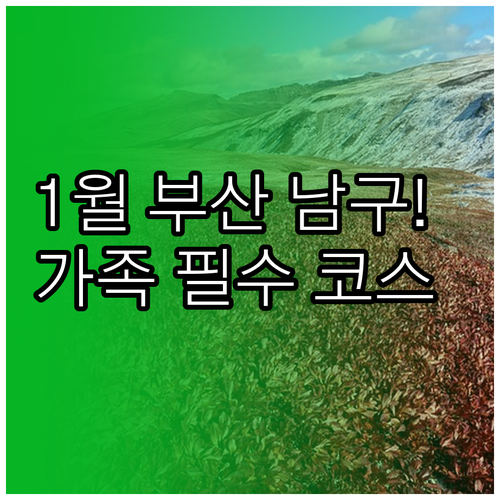 가족과 함께 가기 좋은 1월 부산 남..