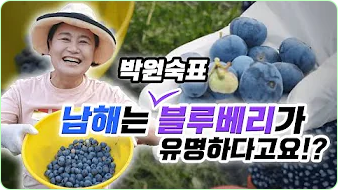 박원숙 박원숙의 같이 삽시다 시즌3, 나이, 재방송, 남해 카페, 프로필, 아들,고향, 가족, 드라마